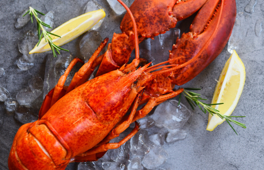 Bigstock-fresh-lobster-food-on-a-black--351880601 1